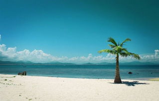 海南 新型旅游產品重環(huán)保 旅行社發(fā)展謀升級